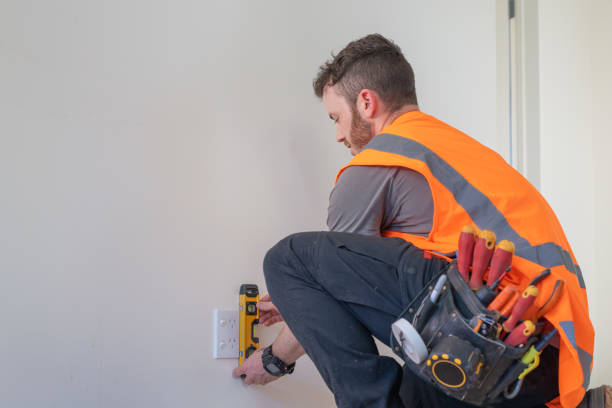 Best Electric Panel Repair  in Fairlea, WV